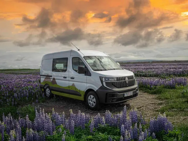 Renault Master campervan parked in a field of Icelandic lupins at sunset